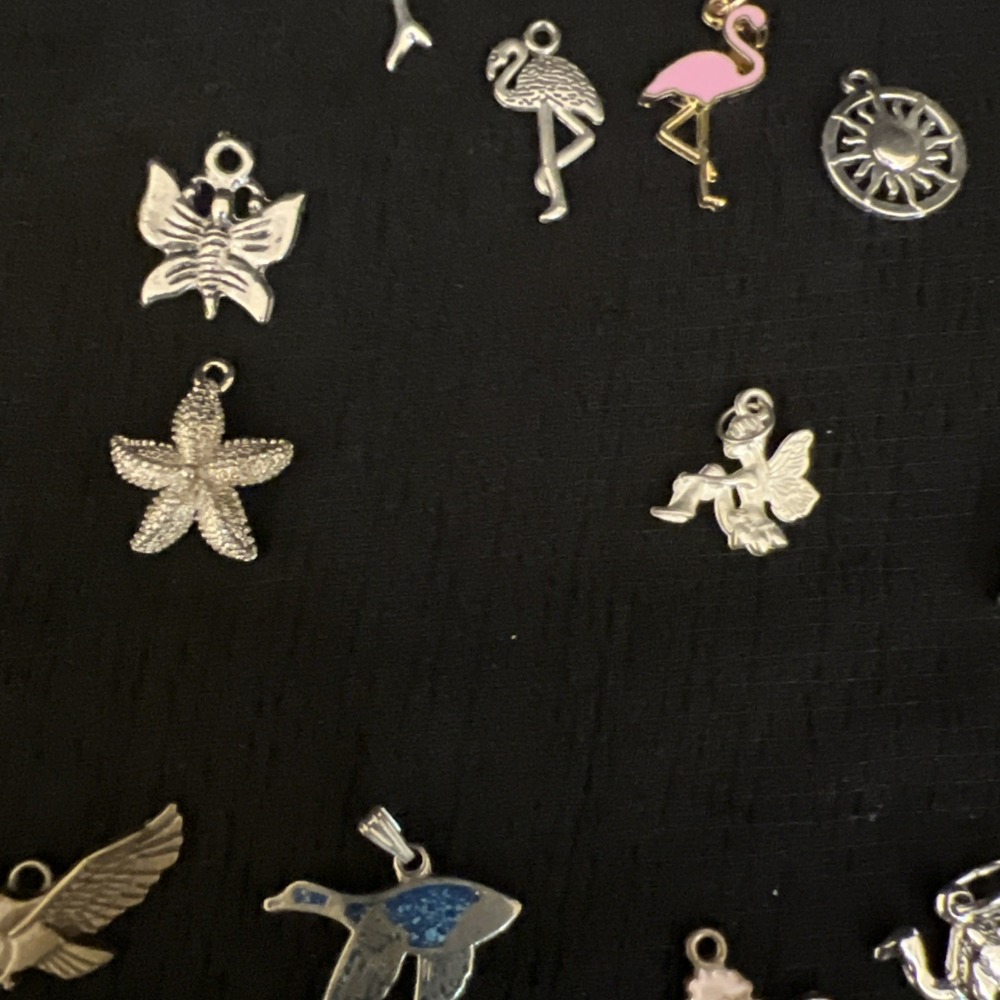 Mixed Charm Lot Jewelry Animals Beach Tropical Paris Fairy Cruise Ship Craft Lot - Picture 14 of 16